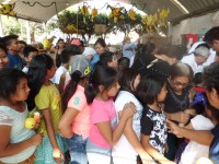 /album/fotogaleria/cimg1374-jpg/